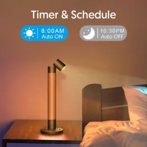 timer schedule